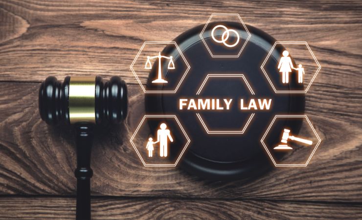 Family Lawyer: A Detailed Guide to Their Role, Responsibilities, and Importance