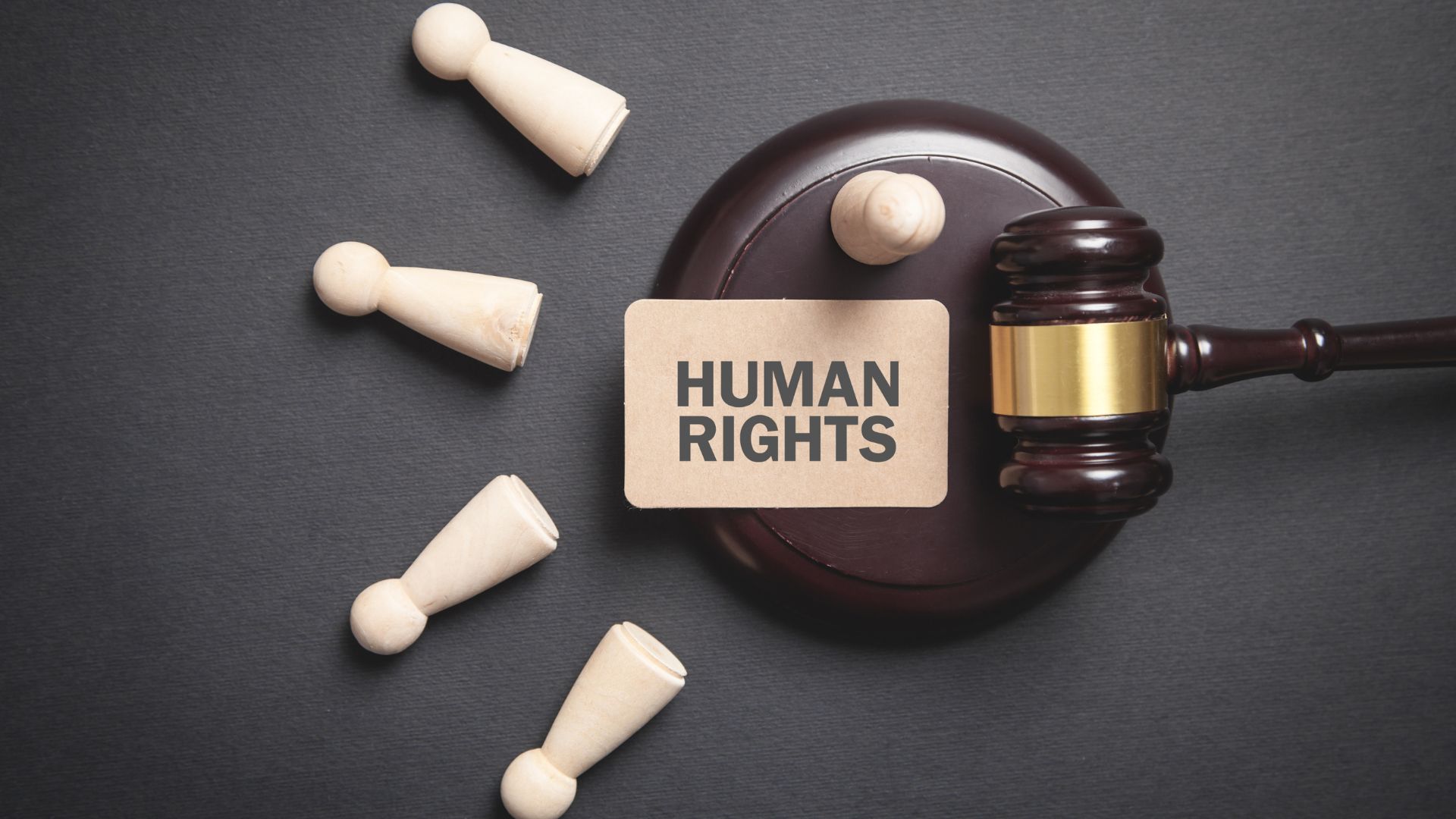 Human Rights Lawyer