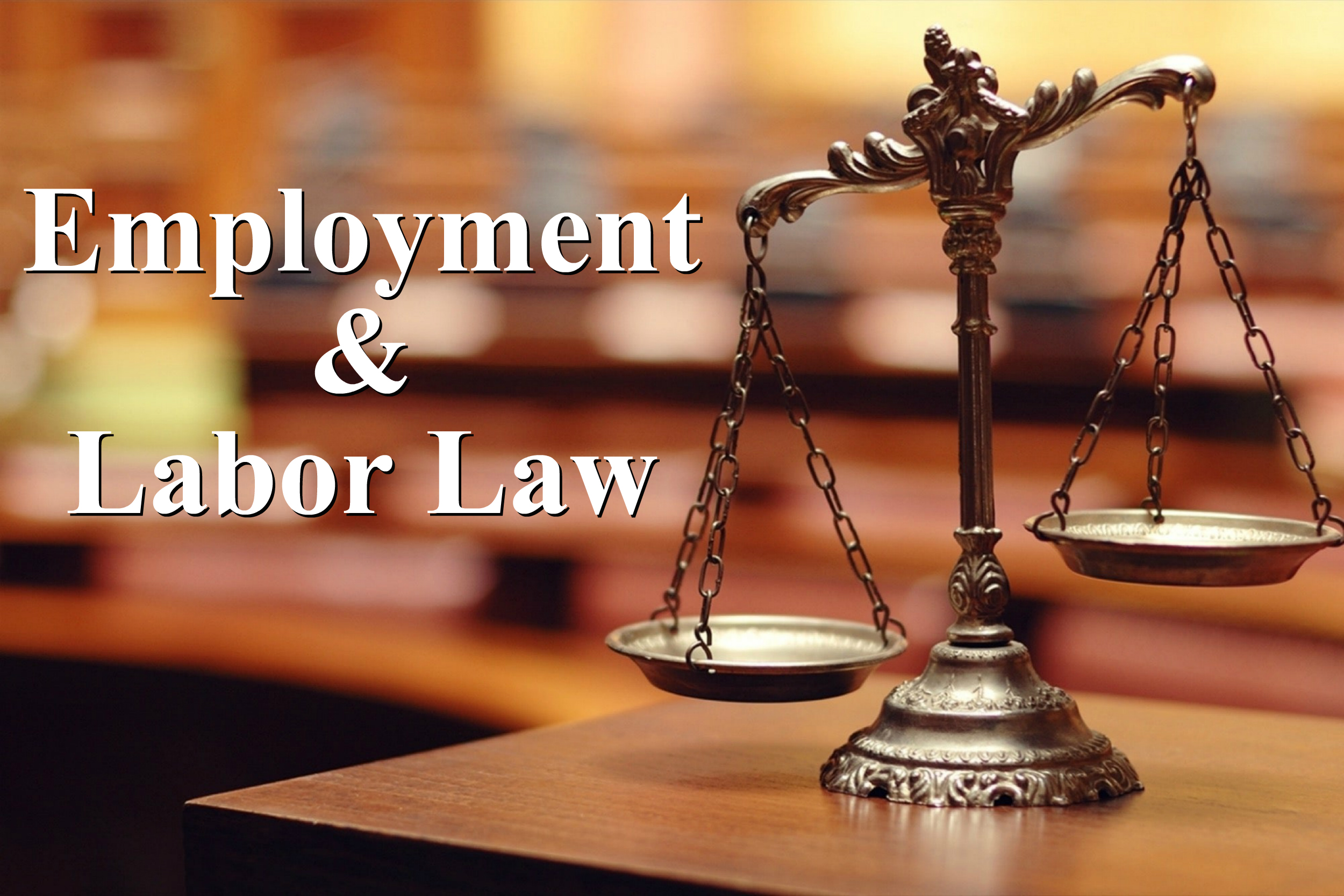 Labor and Employment Lawyers