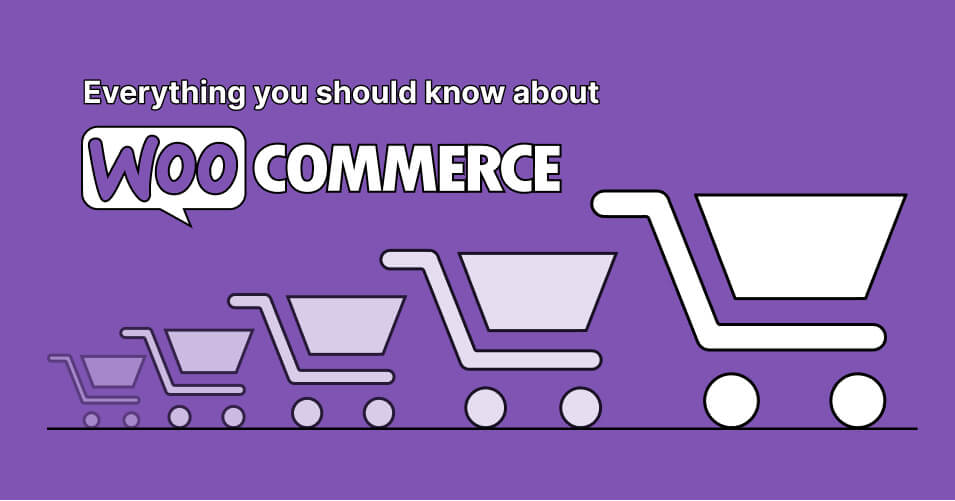 WooCommerce online store
