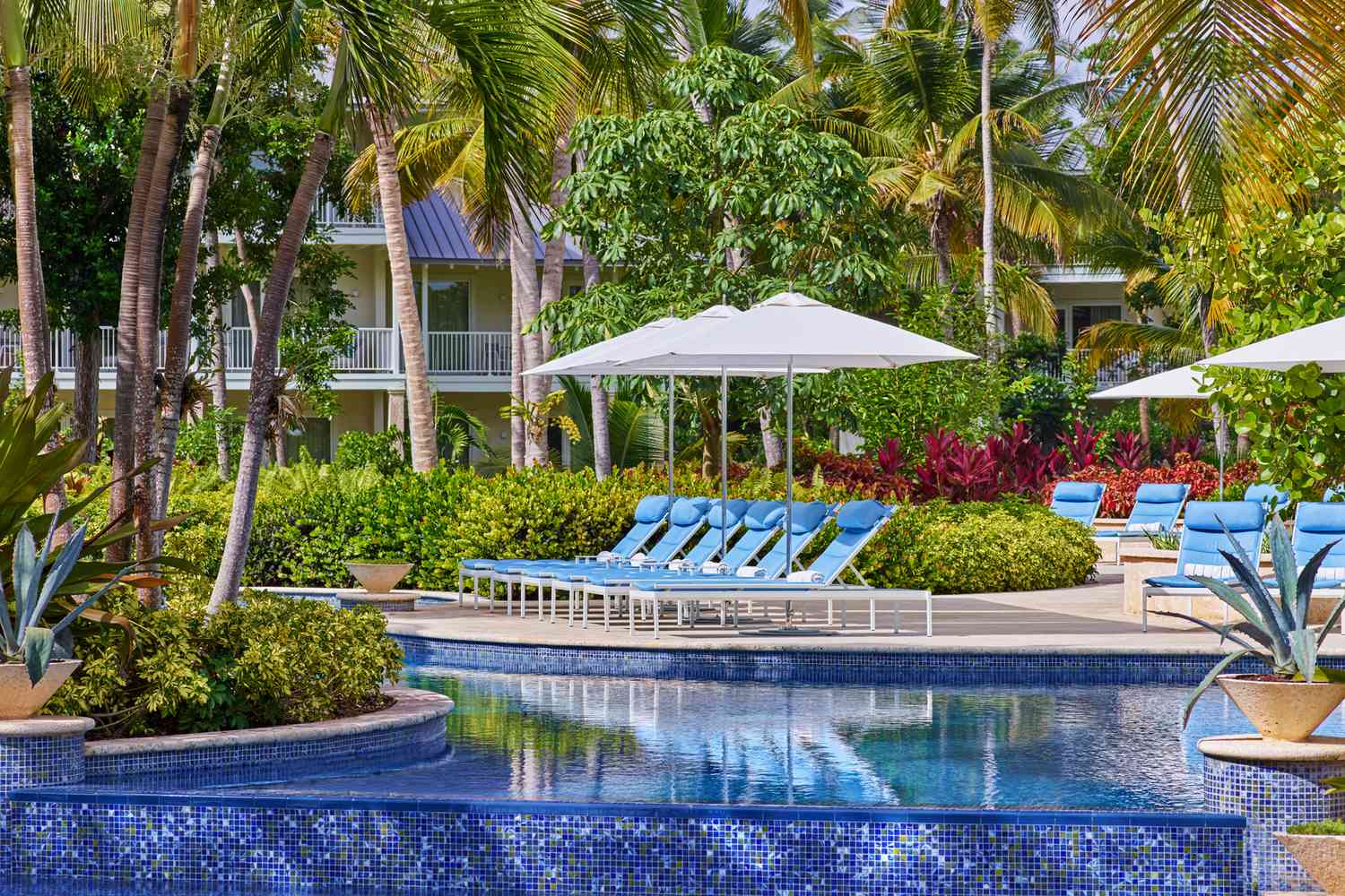 Best Resort Loyalty Programs Explained